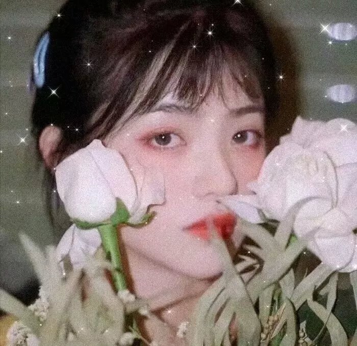 完美革命